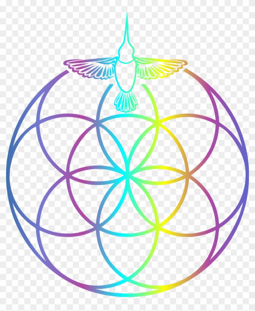 The Psychedelic Integration Coach - The Psychedelic Integration Coach #1432787