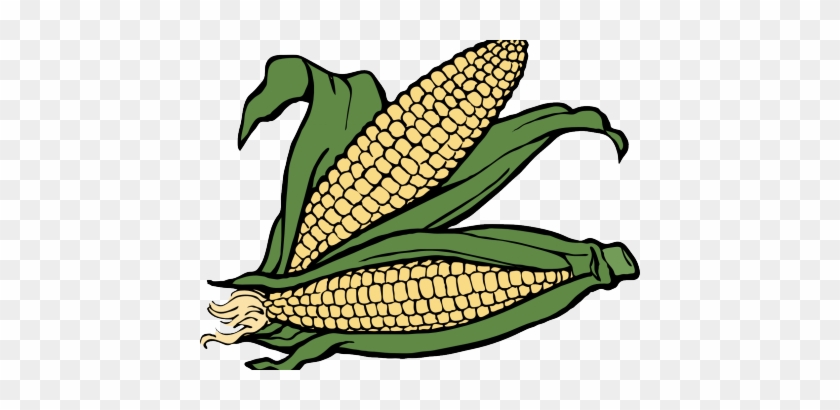 Stalk Image Free Corn Huge Freebie - Maize Corn Clipart #1433408