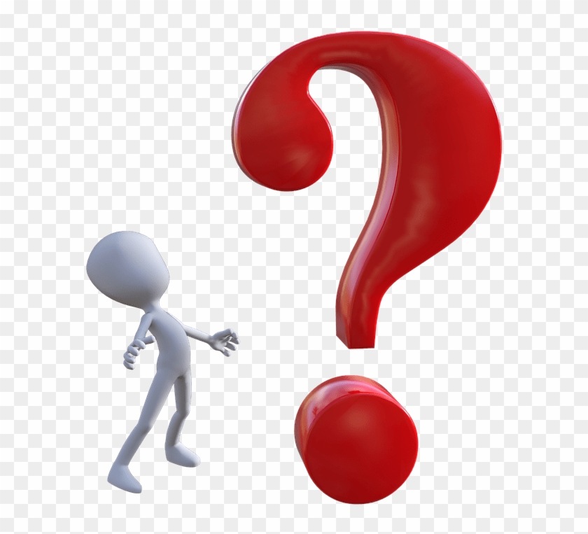 What Is Hibernation - Question To Think #1433843