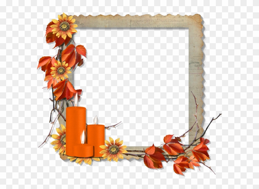 Bordure #224421