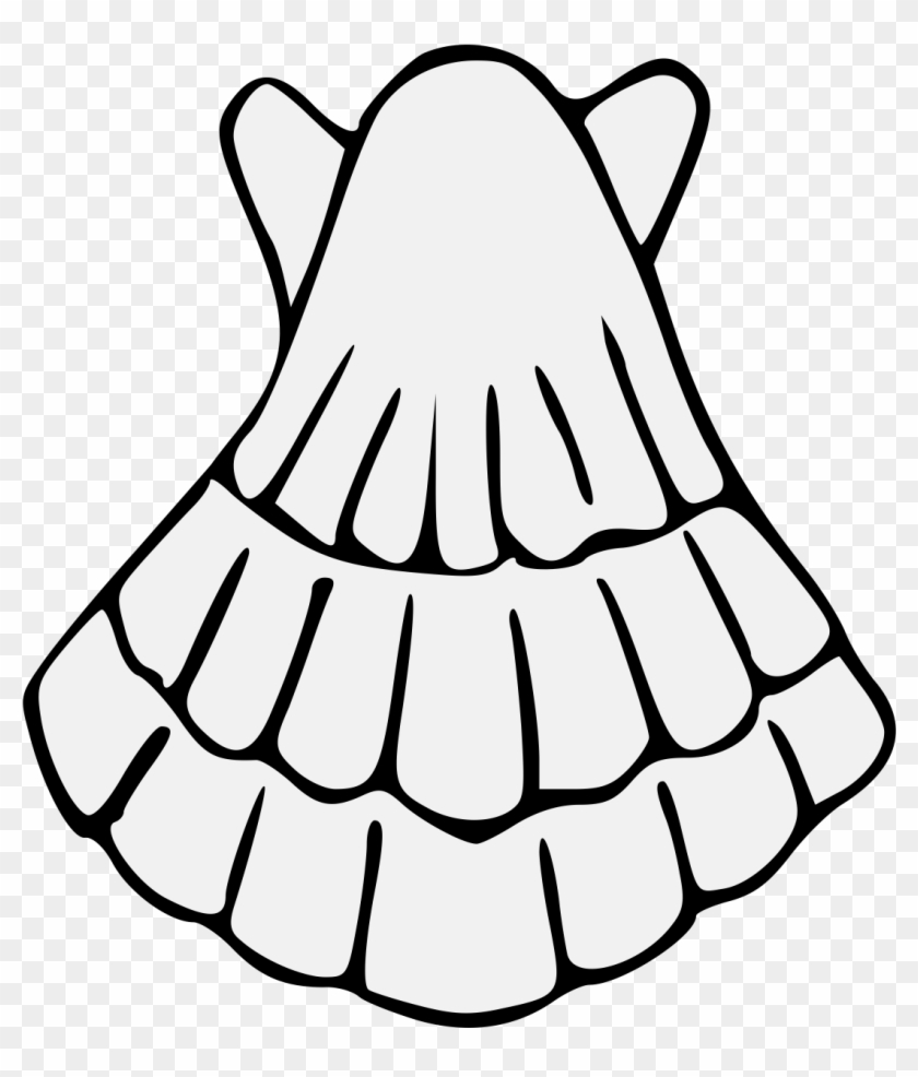 Drawing Shell Escallop For Free Download - Art #1433939