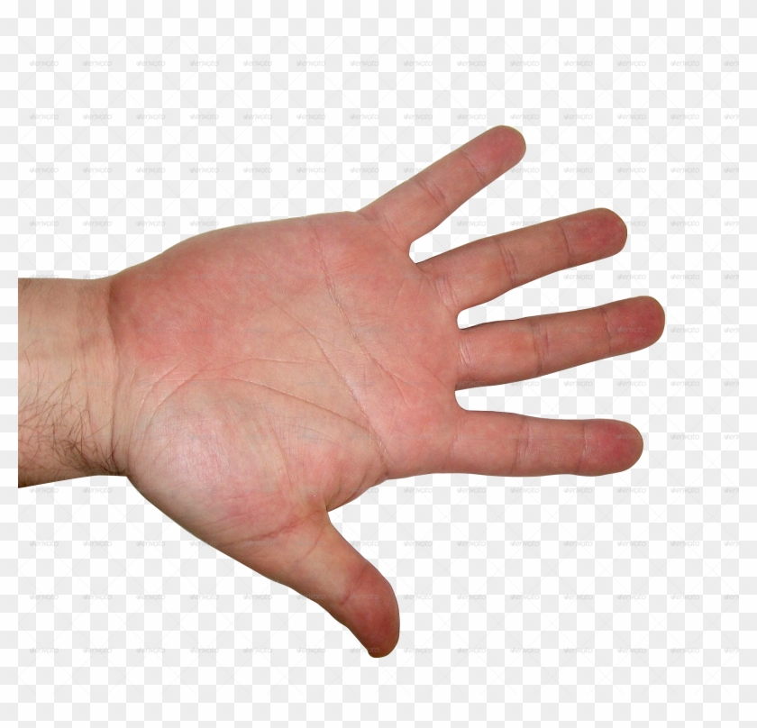 Clipart Hand Human Hand - Hand Textures #1437602
