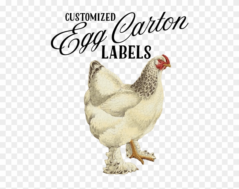 Add To Wishlist Loading - Chicken #1437623