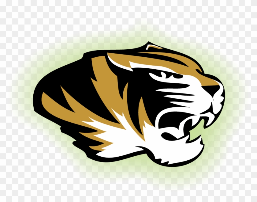 August - Mizzou Tiger #1438405
