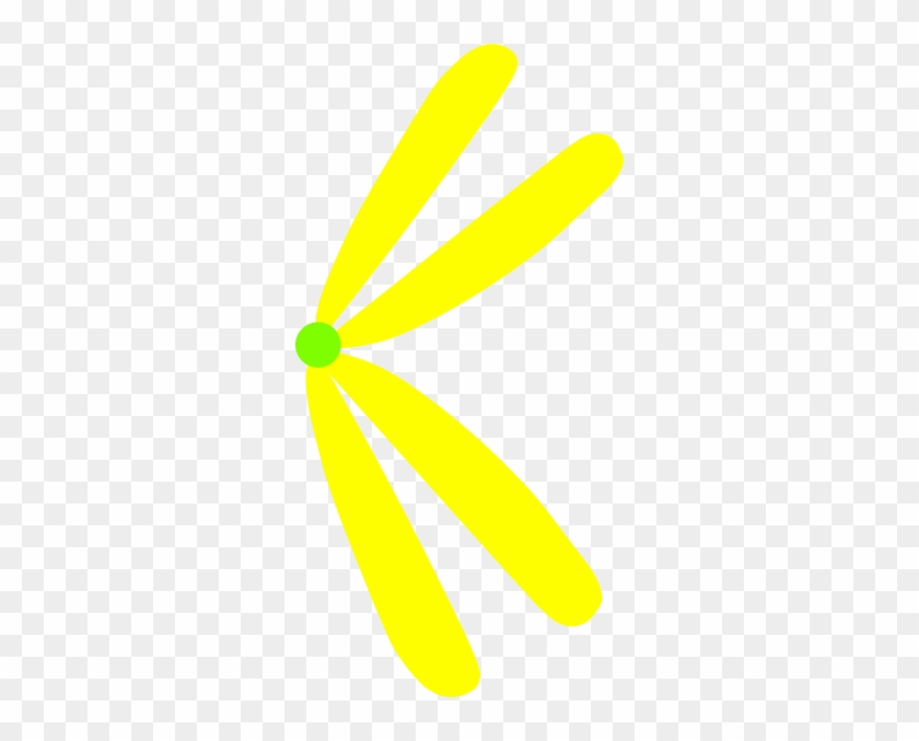 Graphic Design #1438595