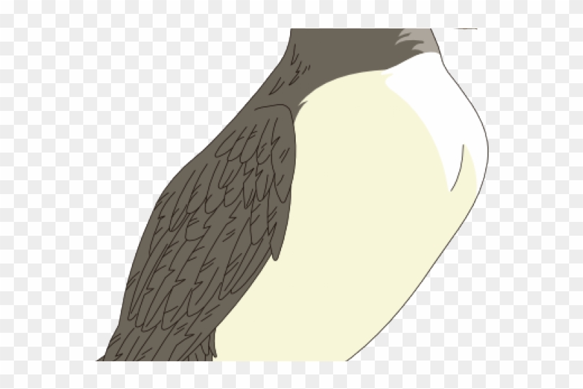 Puffin Clipart Clip Art - Illustration #1438858