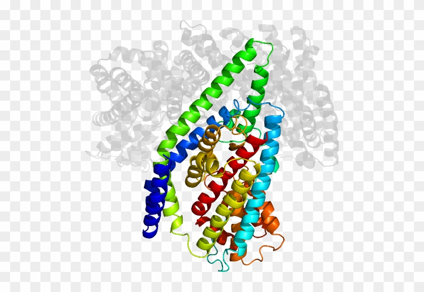 D1xfha In Context Of Pdb - D1xfha In Context Of Pdb #1439145