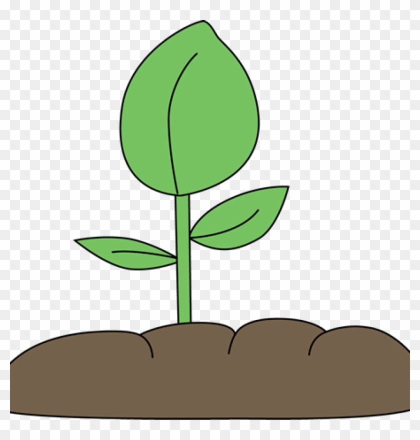 Clip Art Plant Clip Art Plant Plant Clip Art Plant - Clip Art #1439996
