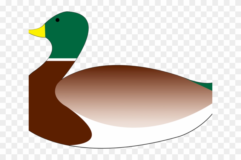 Mallard Clipart Transparent - Mallard #1440009