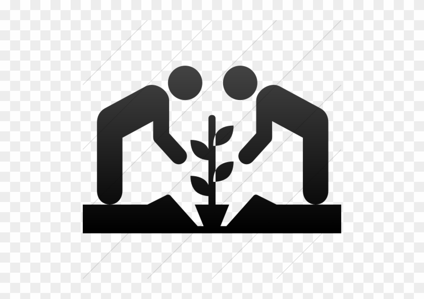 The Common Space In Research, Education And Cultural - Guerrilla Gardening #1440066