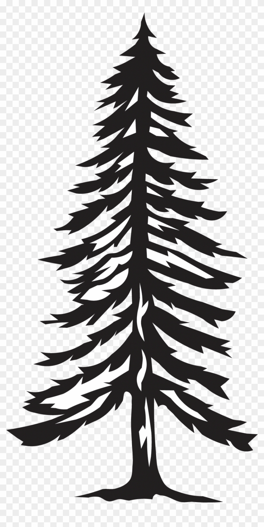33 - Spruce #1440099