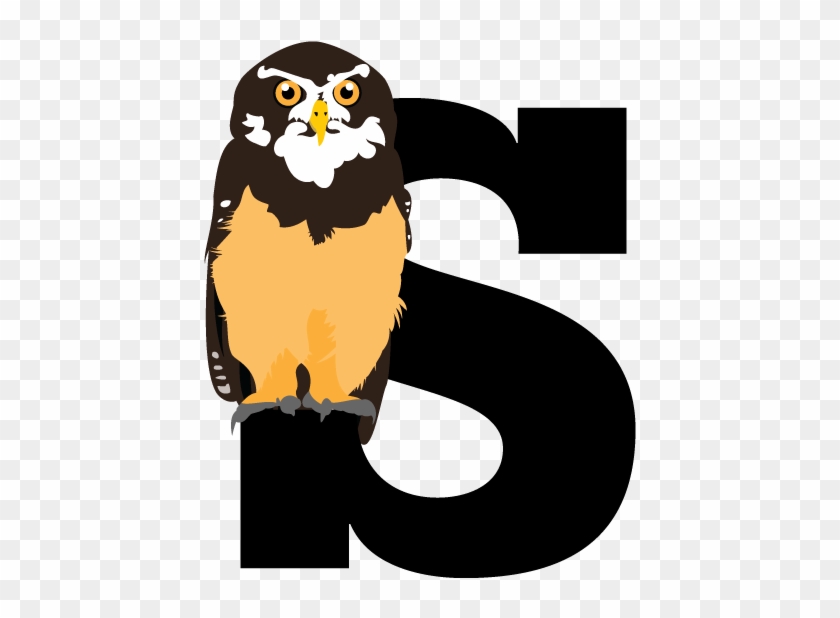 Graphic Royalty Free Download Bird Type Coloveration - Cartoon #1440456