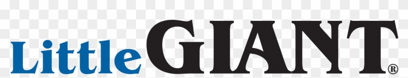 Little Giant Pumps Logo #1440752