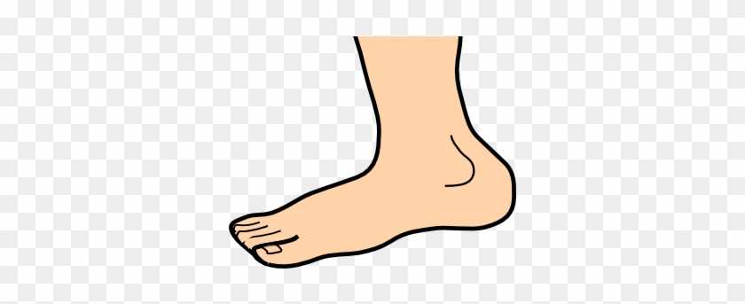 Good Hygiene - Leg Clip Art #1440845