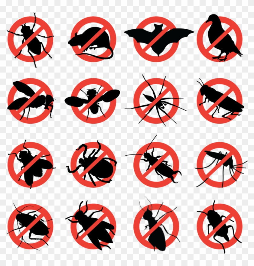 Pest Control #1441365