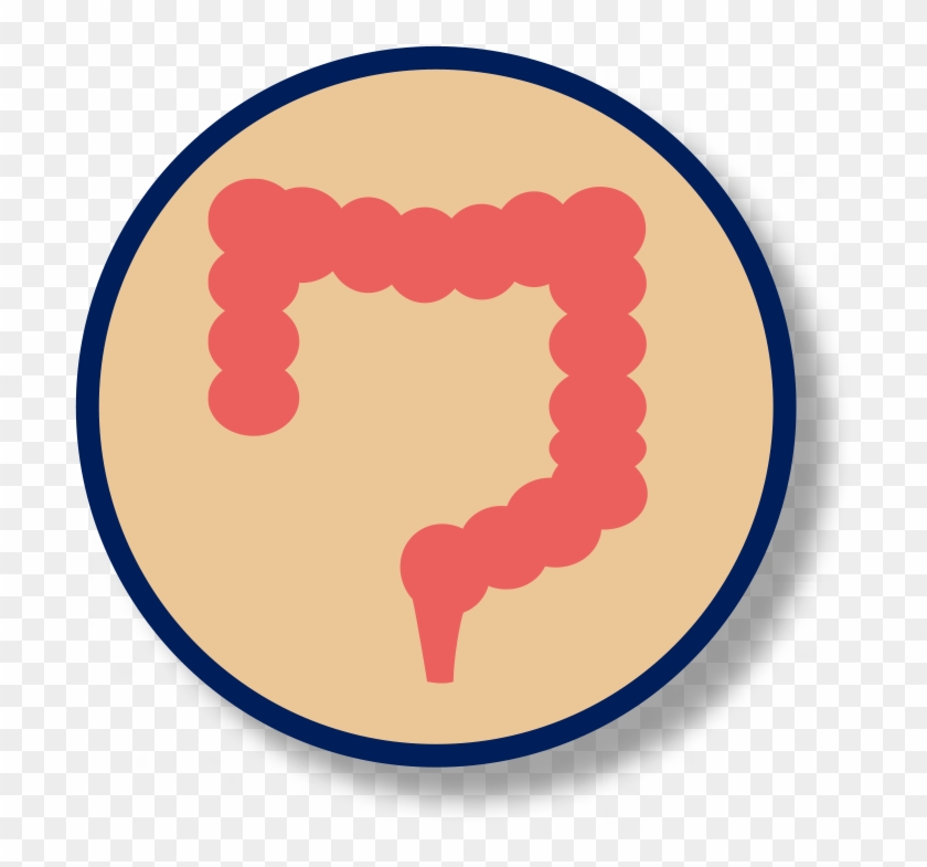 Bowel Incontinence - Irritable Bowel Syndrome #1442506