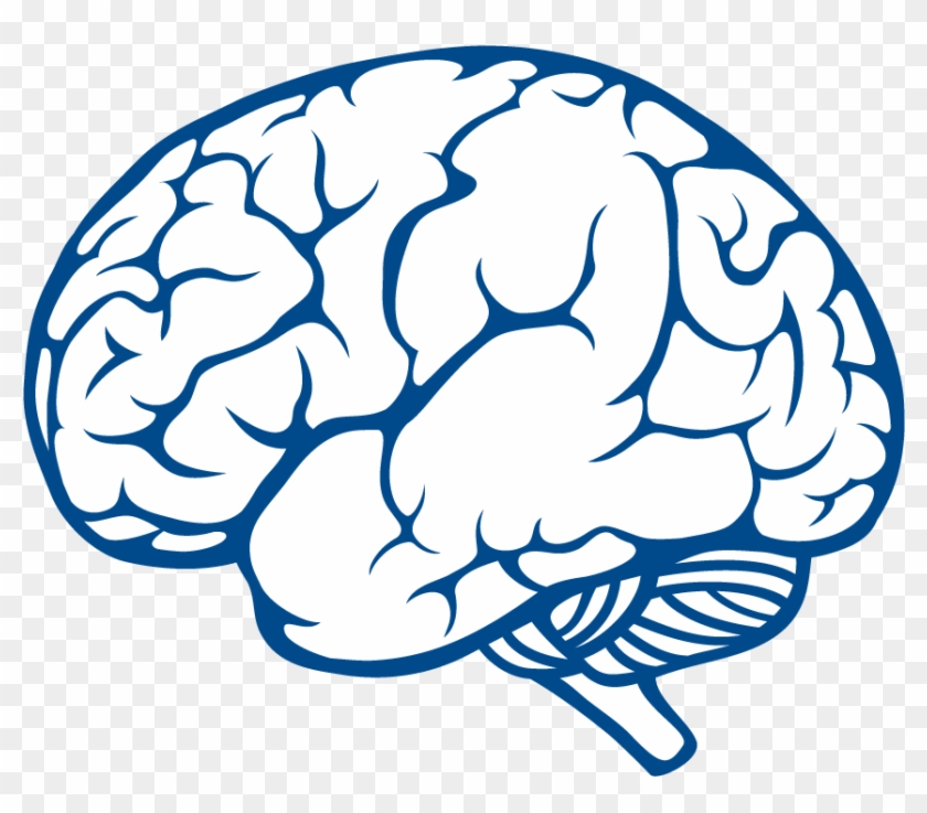 “dementia Is A Normal Part Of Ageing” True Or False - Brain Outline #1443503