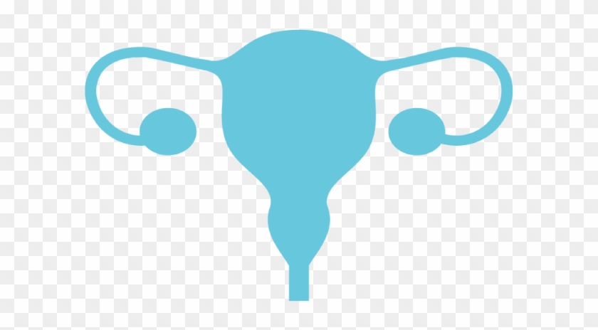 Uterus #1443617