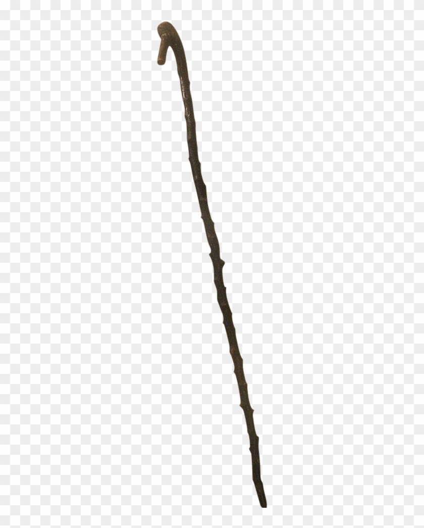 Clip Art Library Download Branch Transparent Stick - Walking #1444026