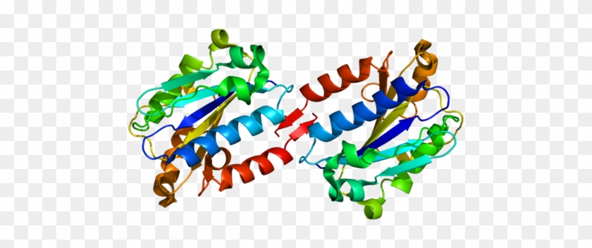 Available Structures - Integrin Alpha L #1447684