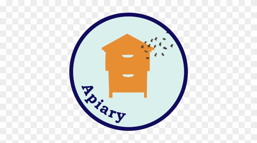 Our Apiary Standards Outline Best Beekeeping Practices - Apiary #1448110