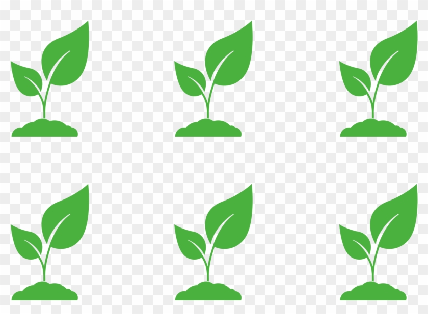 Estimate How Many Plants You Need For A Rectangular - Inch #1448368
