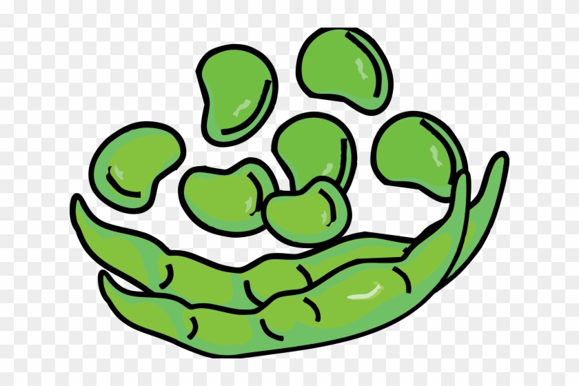Bean Clipart Kidney Transplant - Bean Clipart #1449027
