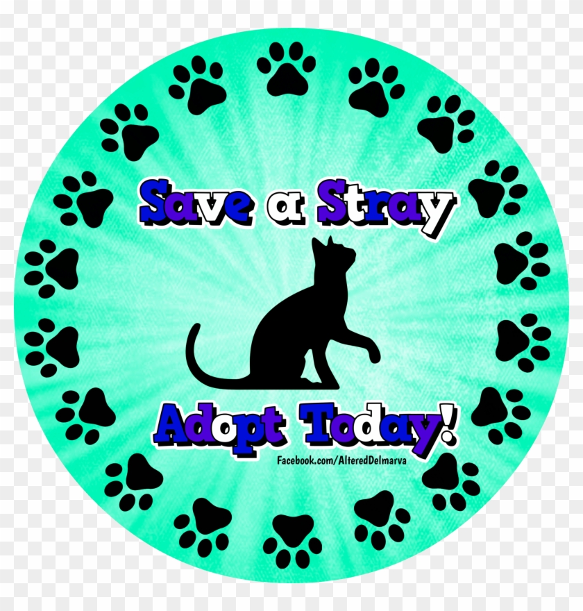Adopt Your Next Friend From A Local Rescue Or - Custom Cat Sitting Pillow Case #1449378
