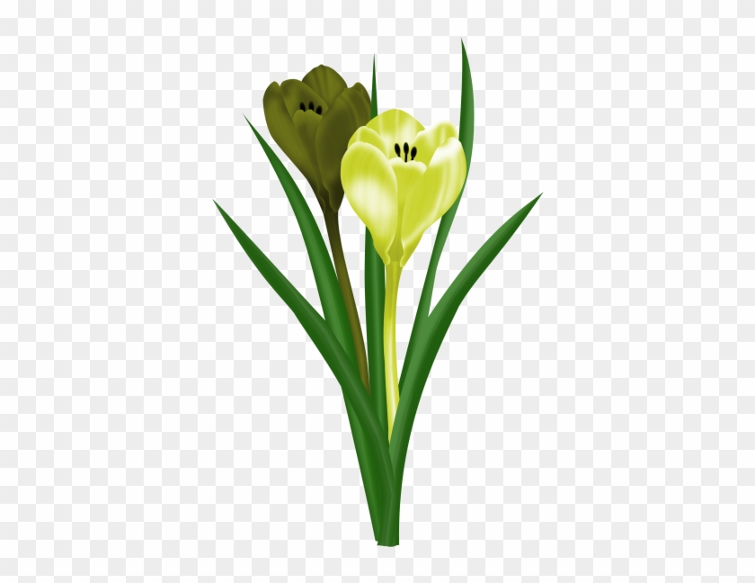 Spring Flowers Spring Flowers, Flower Art, Clip Art, - Flower #1450668