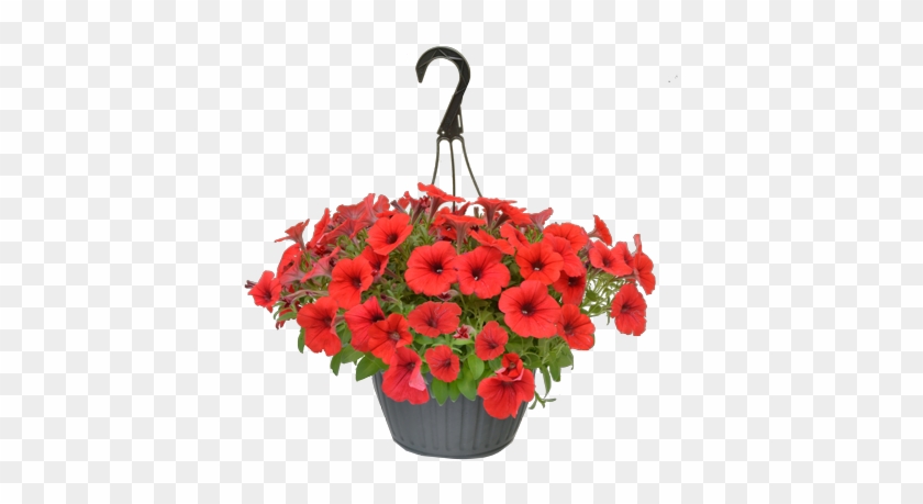 Flowers Baskets Clipart Best - Flowers Baskets Clipart Best #1450684