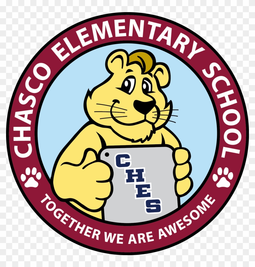 Chasco Elementary - Shanti Vidya Niketan High School #1451394