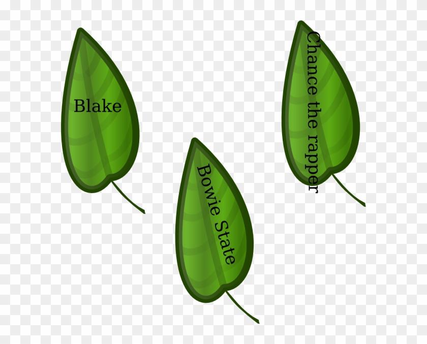 Leaves Now And Then - Portable Network Graphics #1452215