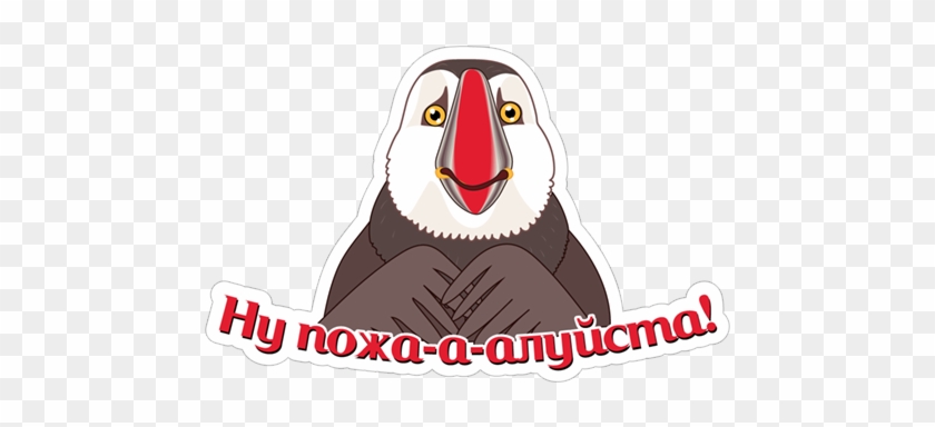 Ну Пожалуйста Плз - Holiday #1452345