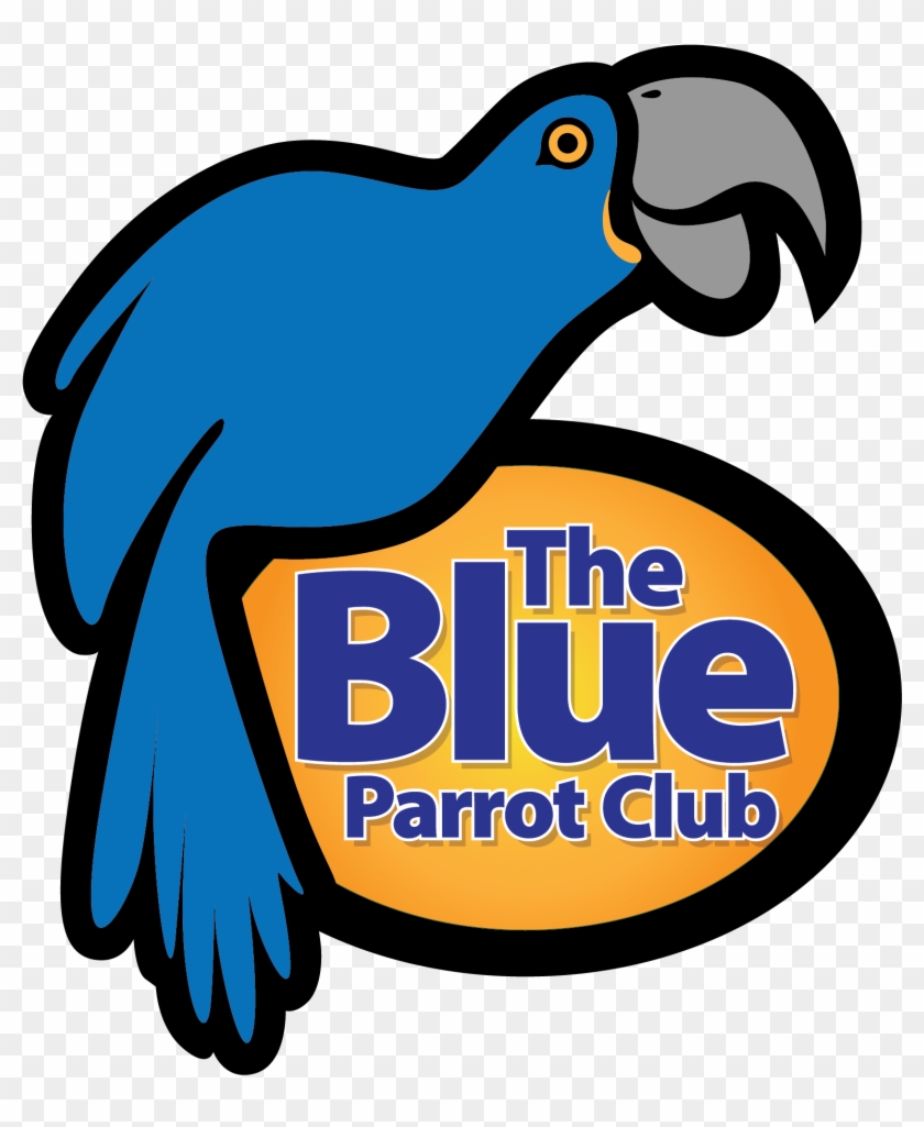 Join The Discussion - Macaw #1452352