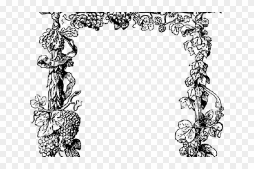 Drawn Scroll Grape Vine - Grape Vine Black And White #1452587