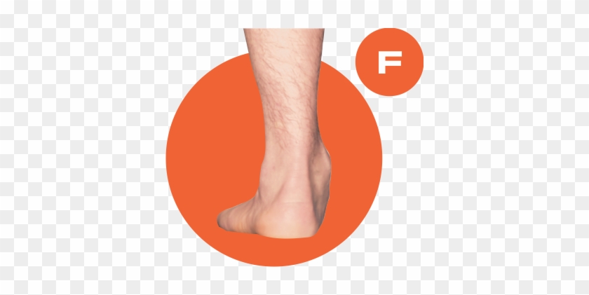 Clip Art Library Download Ankle Drawing Human Foot - Poster #1452601