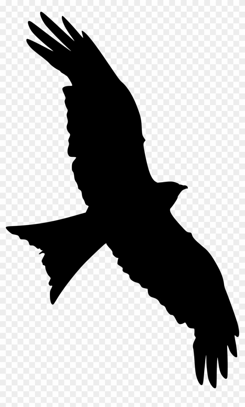Clip Art Falcon Flying Clipart - Clip Art Falcon Flying Clipart #1453667