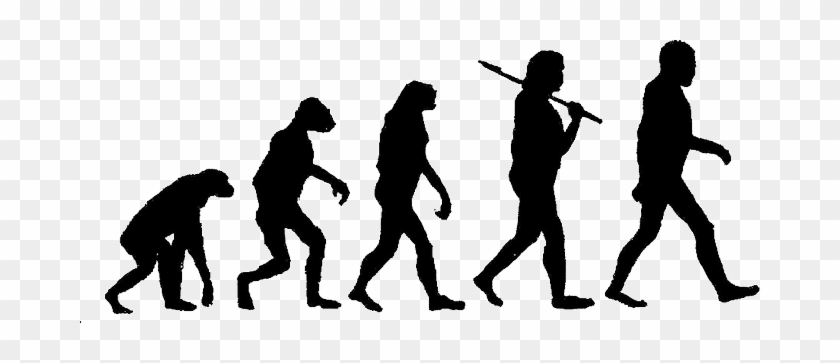 Evolution Clipart #1453956