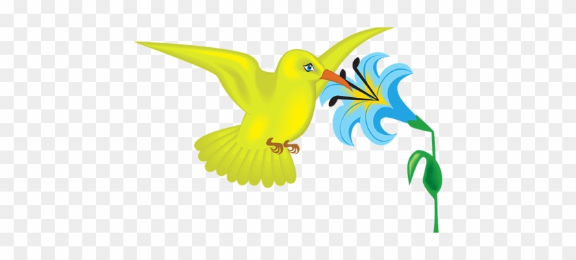 Clip Art Library Library Download Wallpaper Free Full - Clipart Of Hummingbirds And Flowers #1456190