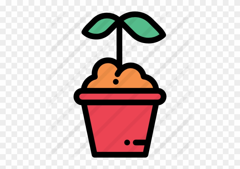 Plant - Coffee #1456892