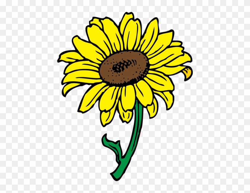 Sonnenblume Schwarz Weiß Clipart - Sunflower Clipart #226582