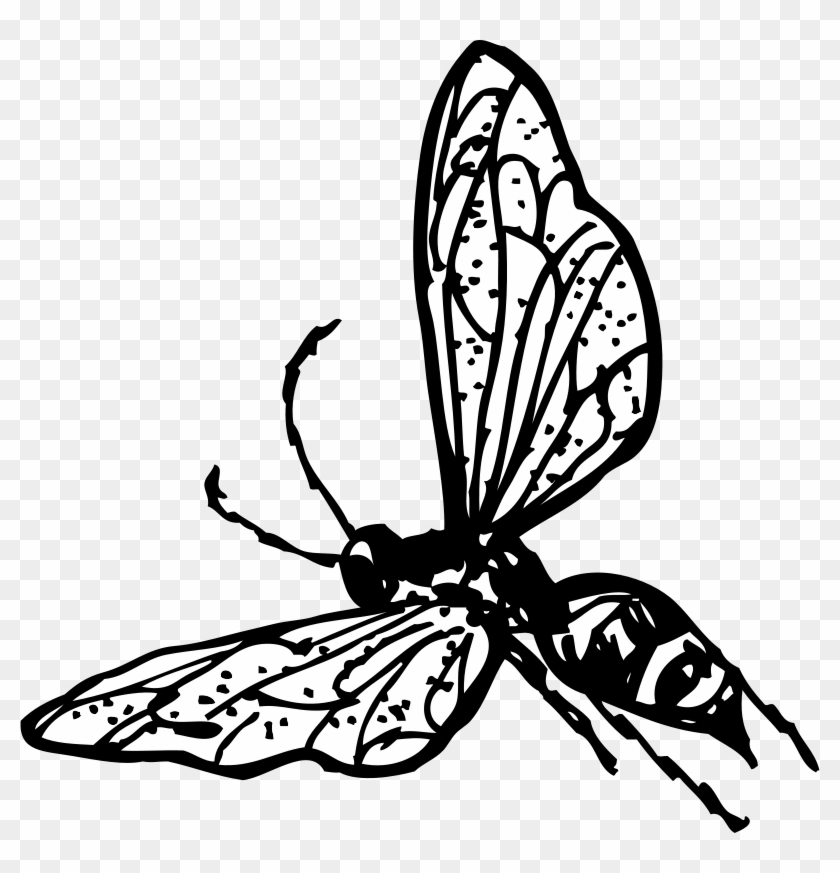 Get Notified Of Exclusive Freebies - Wasp Clip Art #228112