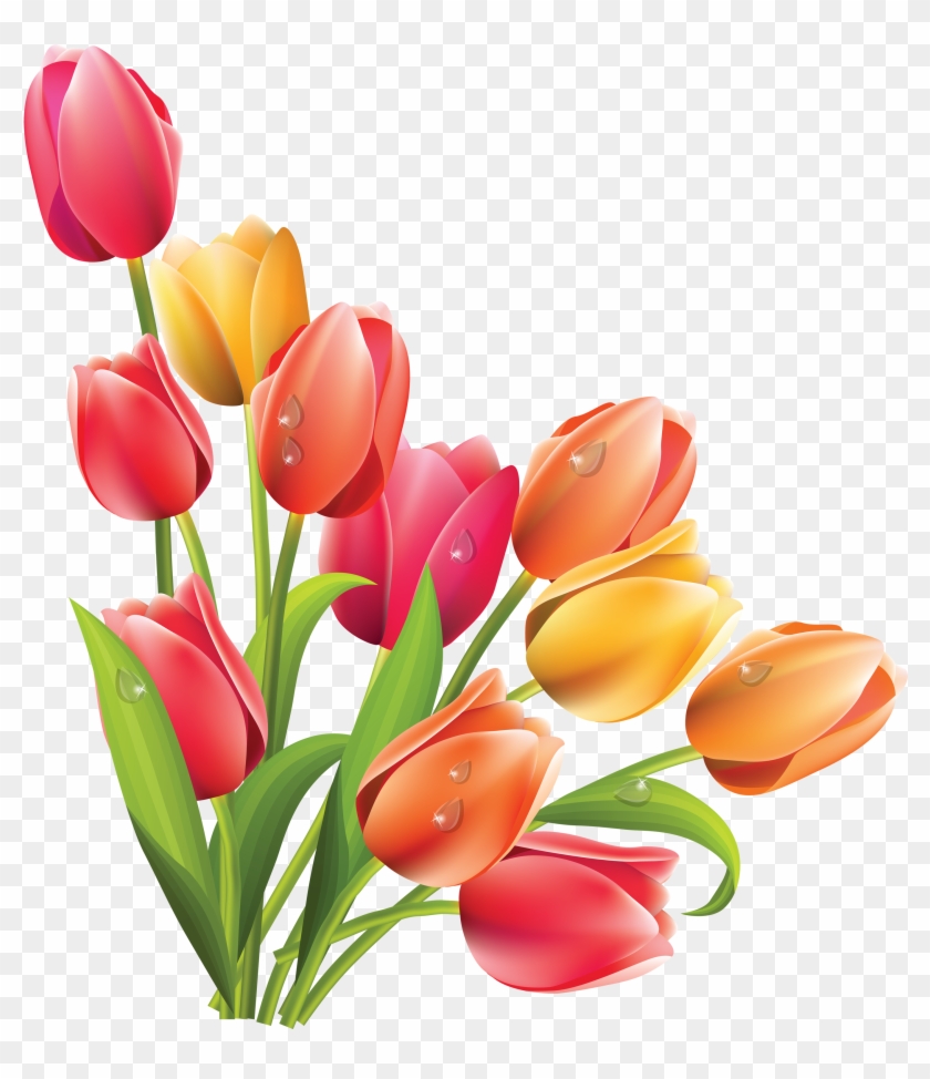 Spring Tulip Vector - Easter Flowers Clipart #230219