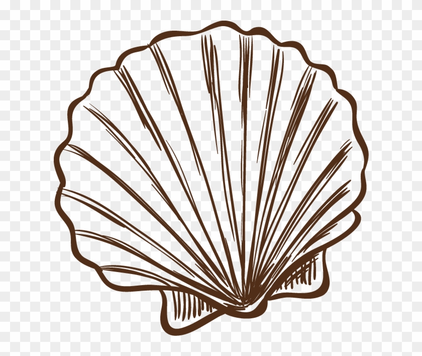 Seashell Illustration Hand Painted - 貝殼 圖案 #1459063