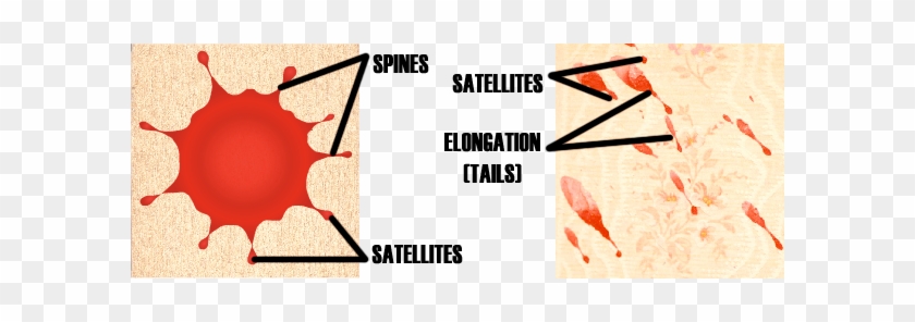 Bloodstain Pattern Analysis Principles Rh Org Blood - Blood Spines #1459161
