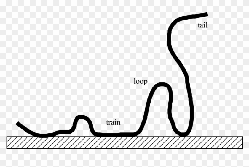 7 Schematic Representation Of Adsorbed Polymer Molecule - Polymer Adsorption #1459617