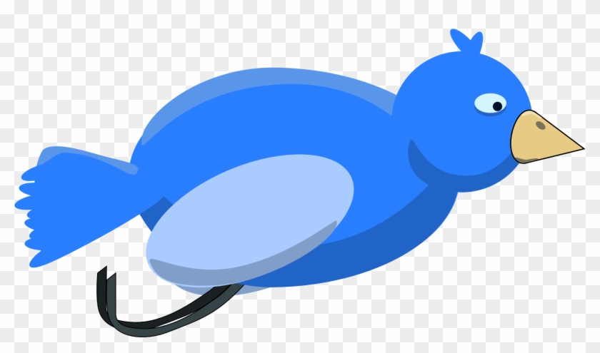 The Attached Platform And Hang There By The Cloth - Bird #1459909