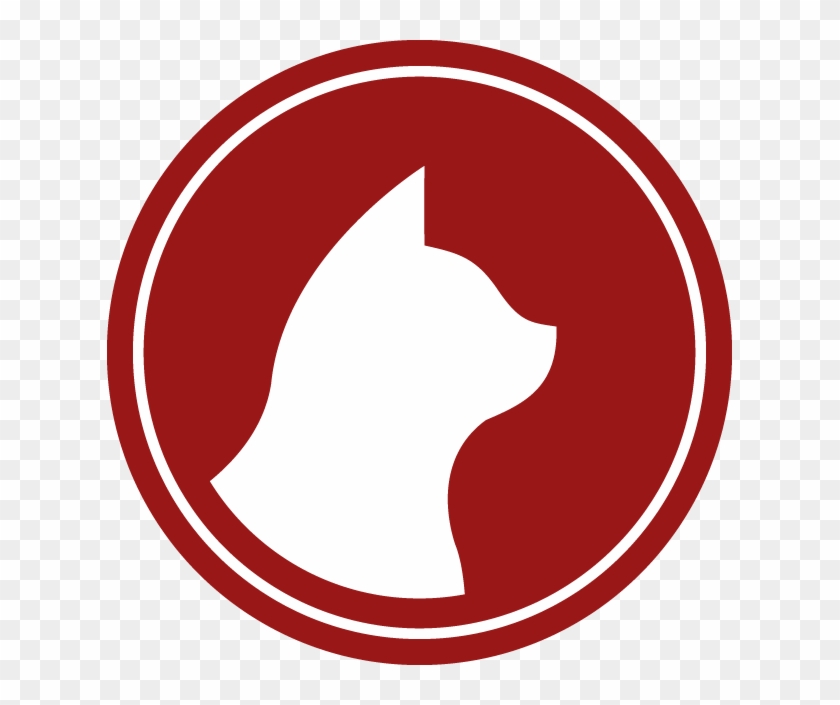Cat Grooming - Cat #1460124