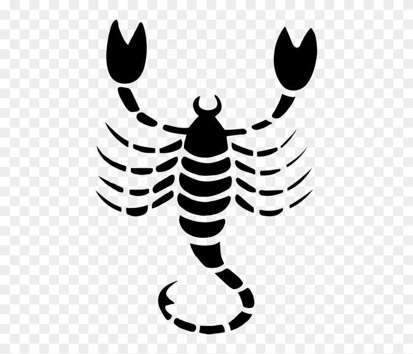 Drawing Scorpion - Drawing Scorpion #1460171