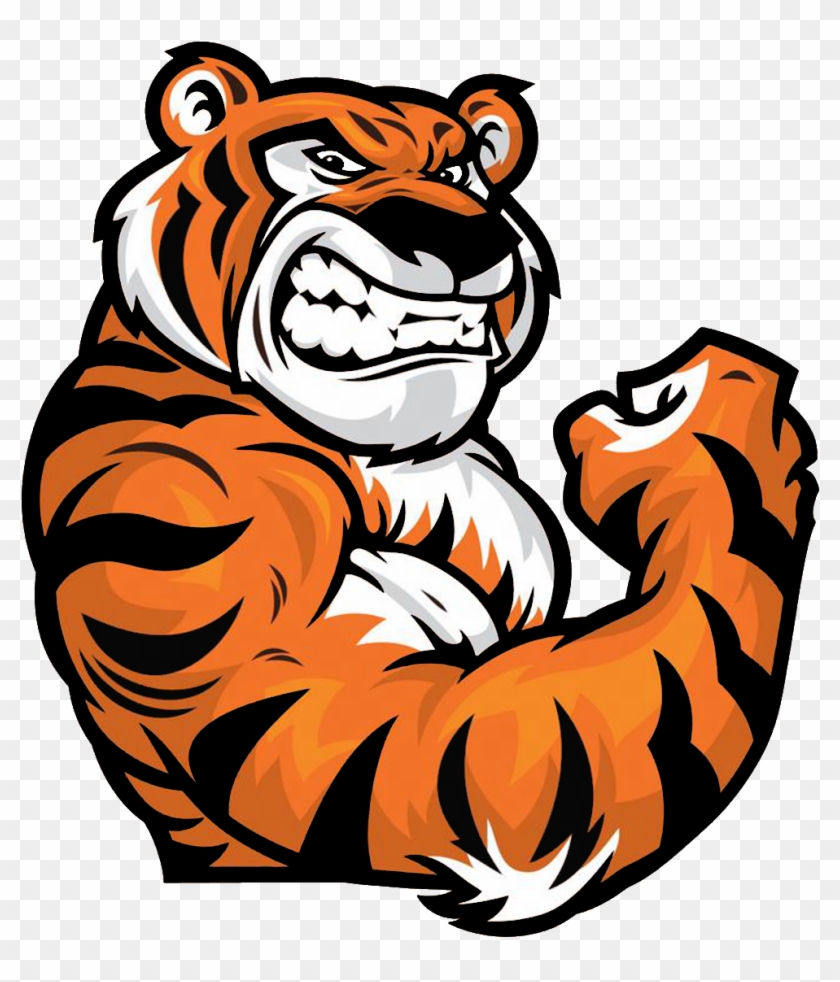 Cartoon Tigers #1460182